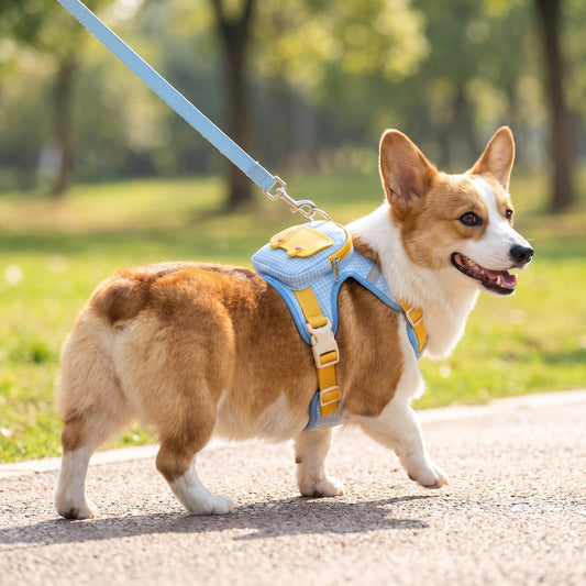 PupPocket™ by Omewan + 3-in-1 Backpack Harness