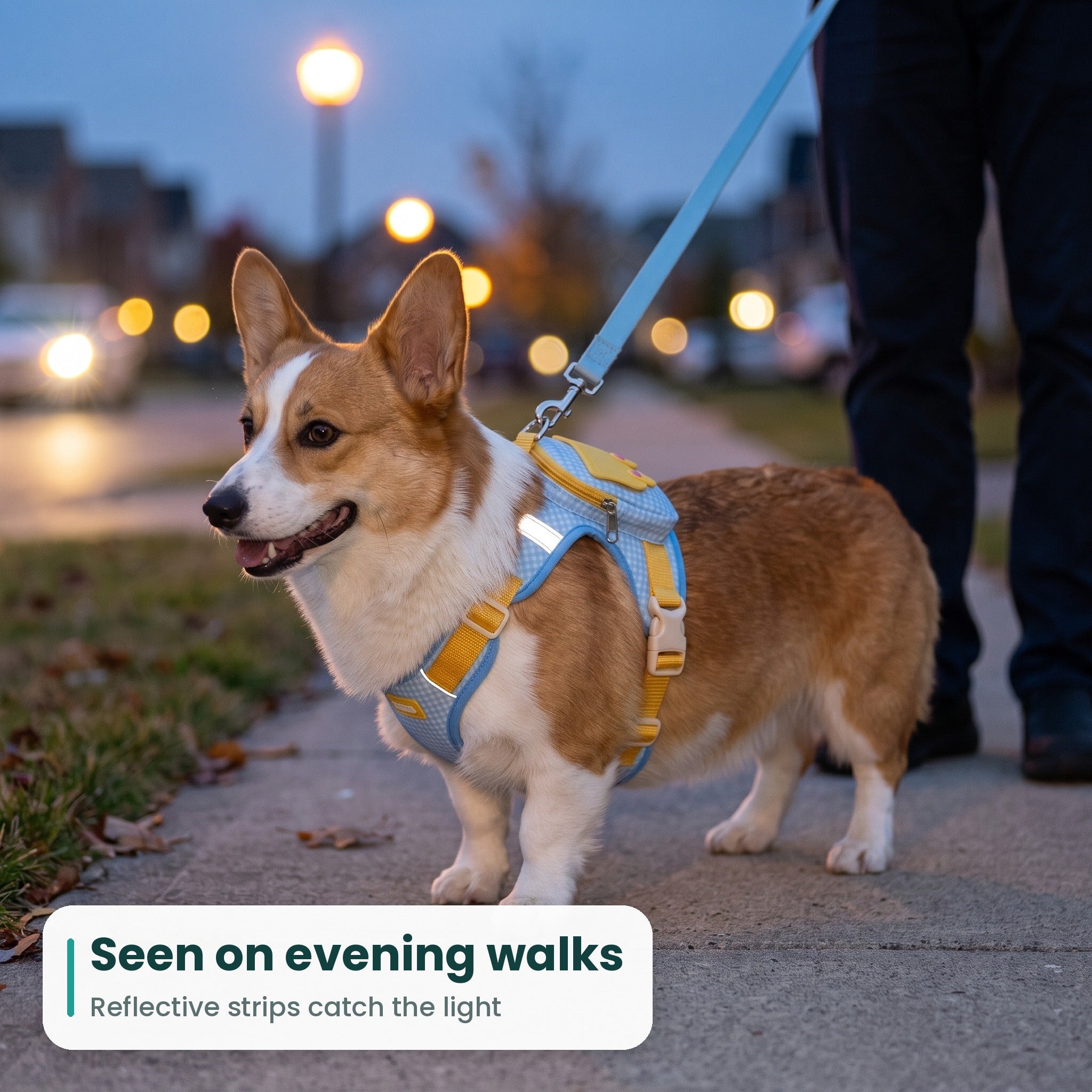 PupPocket™ by Omewan + 3-in-1 Backpack Harness